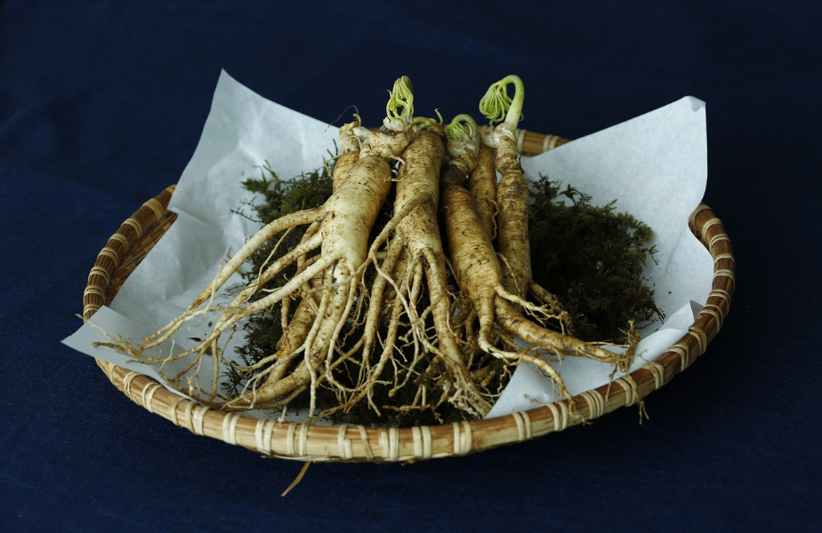 The Ultimate Guide to Korean Ginseng: Discover the Benefits and Best Brands 썸네일